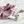 Load image into Gallery viewer, Teacher Gift: Minimals Pearl-pink 20-piece EDC Kit + 'Zip It' Scrunchie Combo