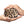 Load image into Gallery viewer, SAFARI Gift Bundle: Leopard EDC Kit + Zip-it Scrunchie + Pocket Mirror + Glasses Cleaner + Comb